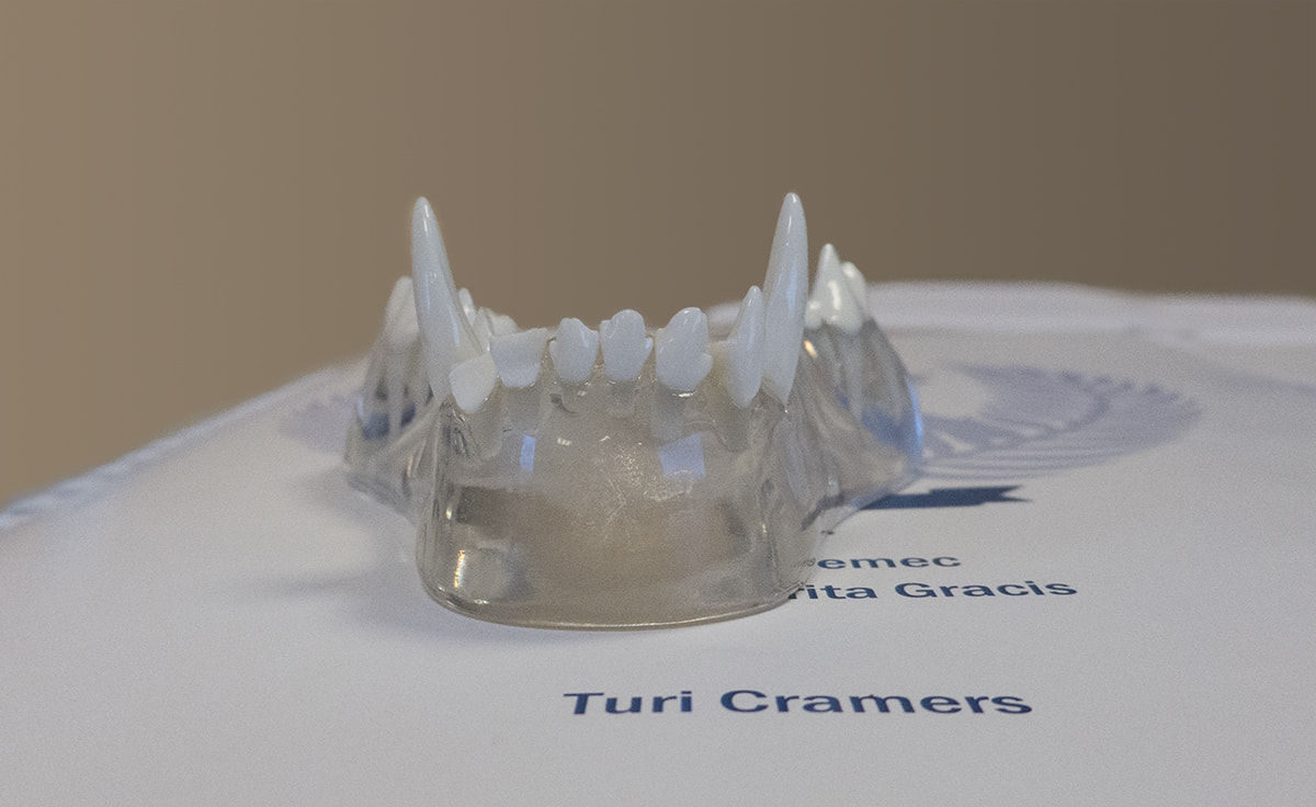 Turi Cramers har været på tandkursus